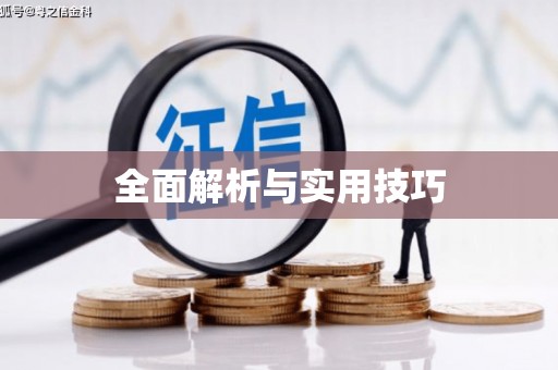 崖州全面解析与实用技巧