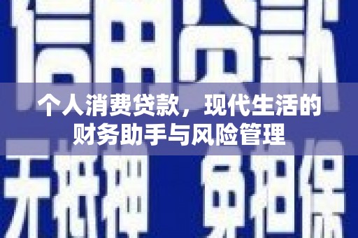 崖州个人消费贷款，现代生活的财务助手与风险管理