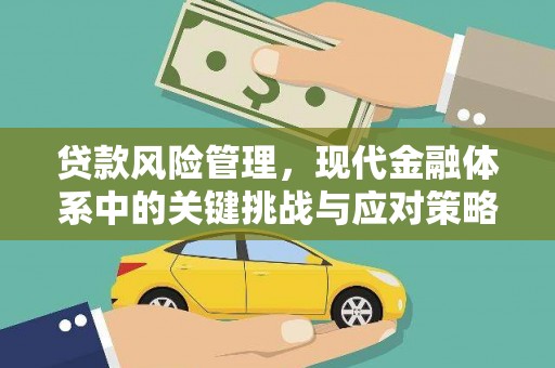 崖州贷款风险管理，现代金融体系中的关键挑战与应对策略