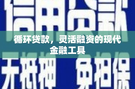 崖州循环贷款，灵活融资的现代金融工具