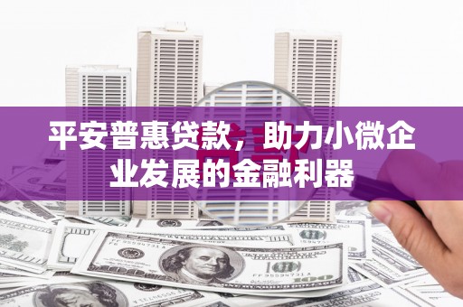 崖州平安普惠贷款，助力小微企业发展的金融利器