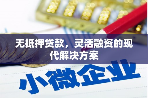 崖州无抵押贷款，灵活融资的现代解决方案