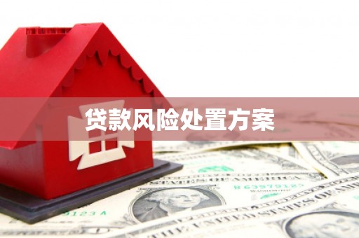 崖州贷款风险处置方案
