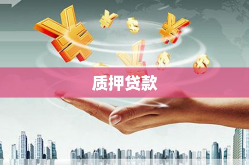 崖州质押贷款