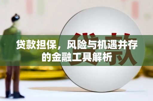 崖州贷款担保，风险与机遇并存的金融工具解析