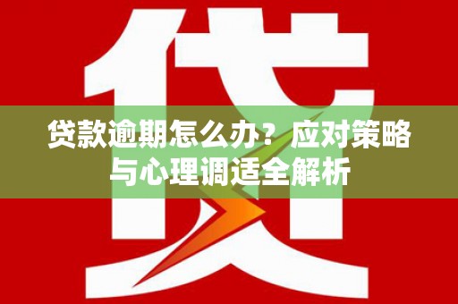 崖州贷款逾期怎么办？应对策略与心理调适全解析