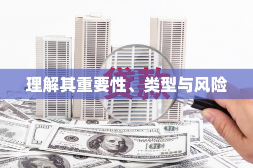 崖州理解其重要性、类型与风险