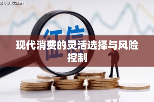 崖州现代消费的灵活选择与风险控制