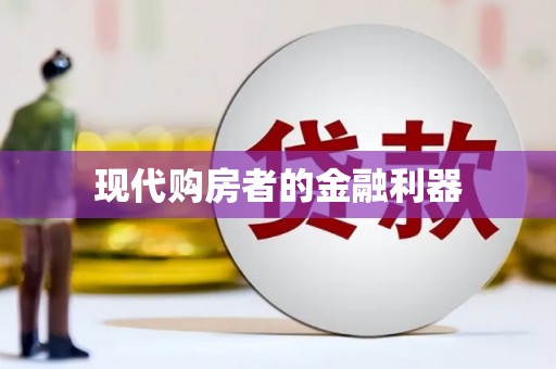 崖州现代购房者的金融利器