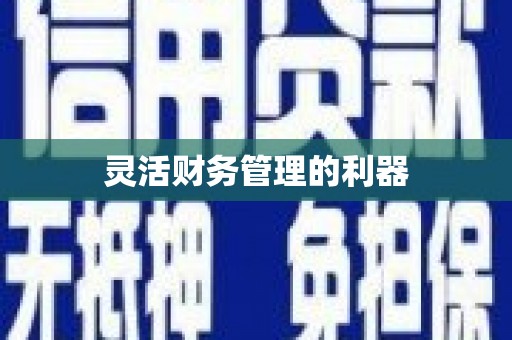 崖州灵活财务管理的利器
