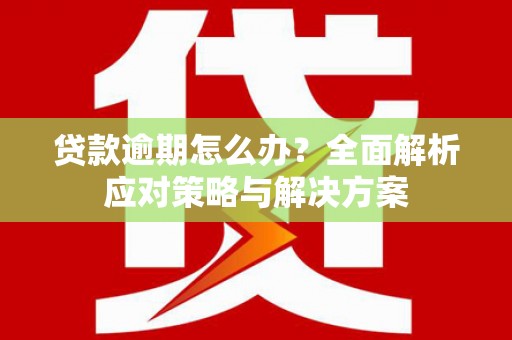 崖州贷款逾期怎么办？全面解析应对策略与解决方案