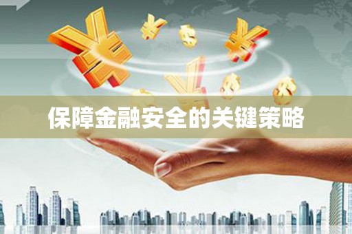 崖州保障金融安全的关键策略
