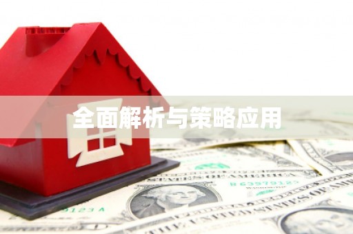 崖州全面解析与策略应用