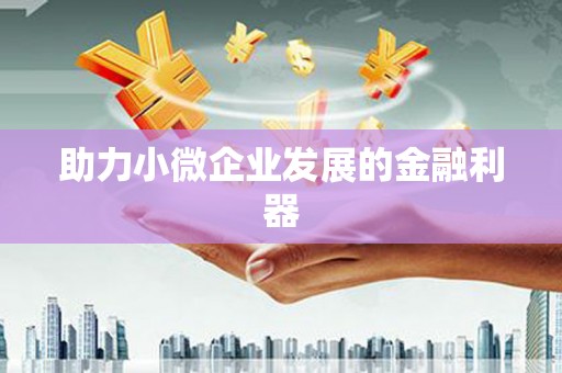 崖州助力小微企业发展的金融利器