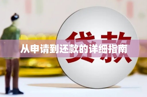崖州从申请到还款的详细指南