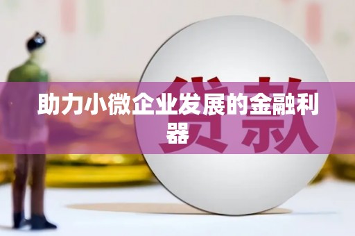 崖州助力小微企业发展的金融利器