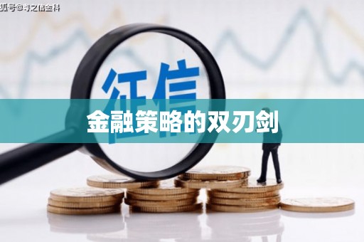 崖州金融策略的双刃剑
