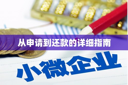 崖州从申请到还款的详细指南