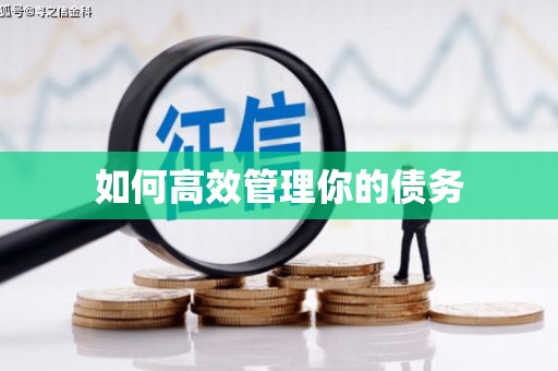 崖州如何高效管理你的债务