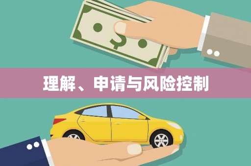 崖州理解、申请与风险控制