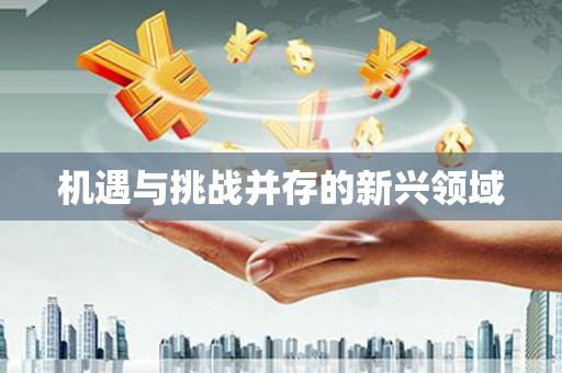 崖州机遇与挑战并存的新兴领域