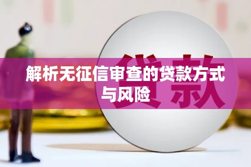 崖州解析无征信审查的贷款方式与风险