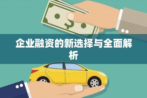 崖州企业融资的新选择与全面解析
