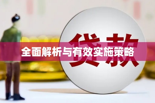 崖州全面解析与有效实施策略