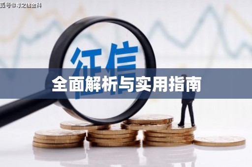 崖州全面解析与实用指南