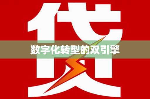 崖州数字化转型的双引擎