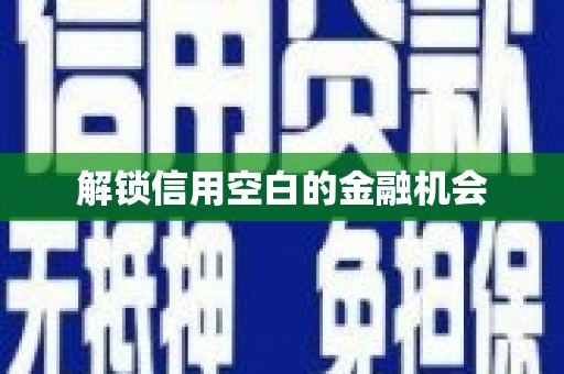 崖州解锁信用空白的金融机会