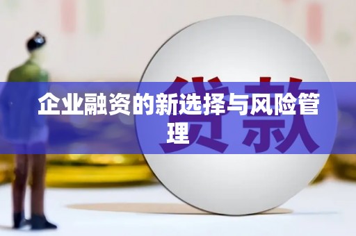 崖州企业融资的新选择与风险管理