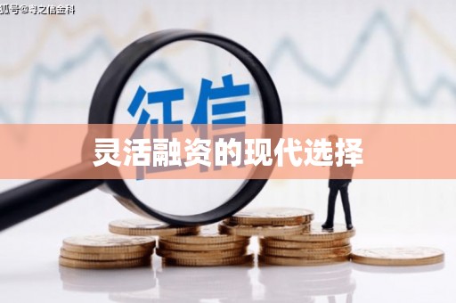 崖州灵活融资的现代选择