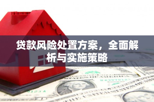 崖州贷款风险处置方案，全面解析与实施策略