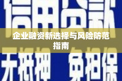 崖州企业融资新选择与风险防范指南