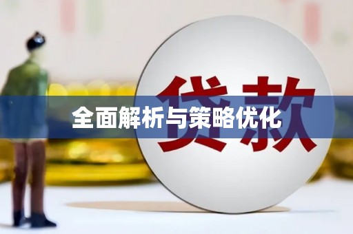 崖州全面解析与策略优化
