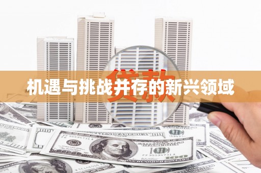 崖州机遇与挑战并存的新兴领域
