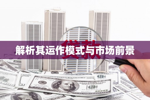 崖州解析其运作模式与市场前景