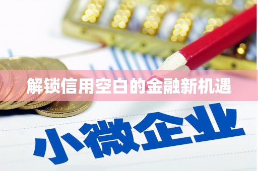 崖州解锁信用空白的金融新机遇