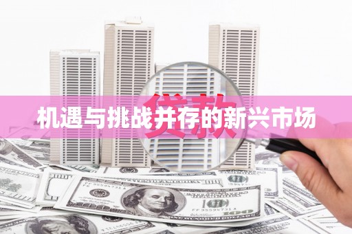 崖州机遇与挑战并存的新兴市场