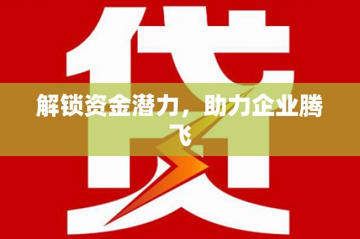 崖州解锁资金潜力，助力企业腾飞