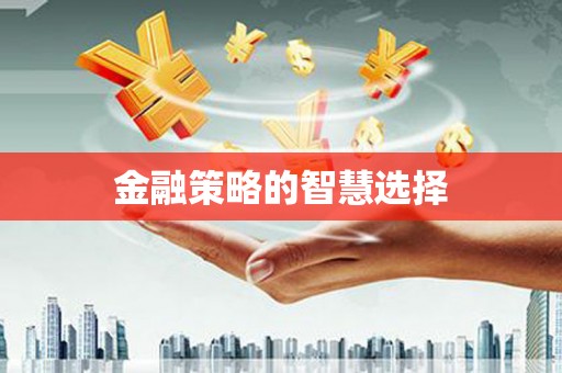 崖州金融策略的智慧选择