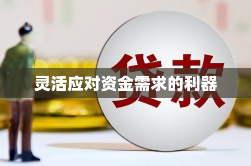 崖州灵活应对资金需求的利器