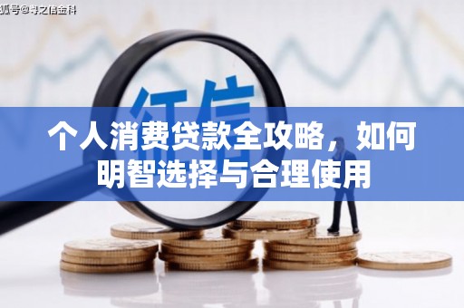 崖州个人消费贷款全攻略，如何明智选择与合理使用