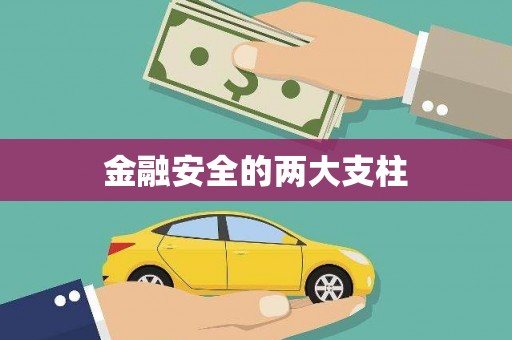 崖州金融安全的两大支柱