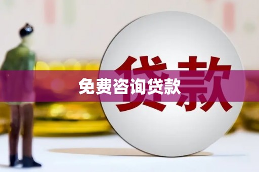 崖州免费咨询贷款