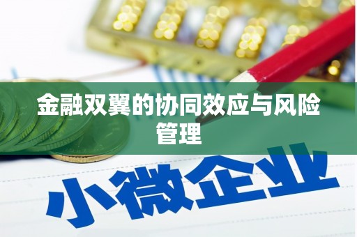 崖州金融双翼的协同效应与风险管理