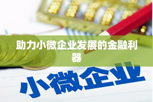 崖州助力小微企业发展的金融利器