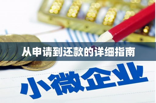崖州从申请到还款的详细指南