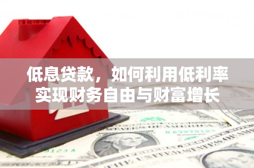 崖州低息贷款，如何利用低利率实现财务自由与财富增长